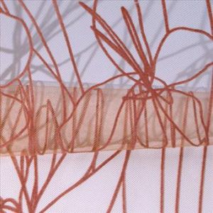 21春夏PV布展 - 最佳女裝布料